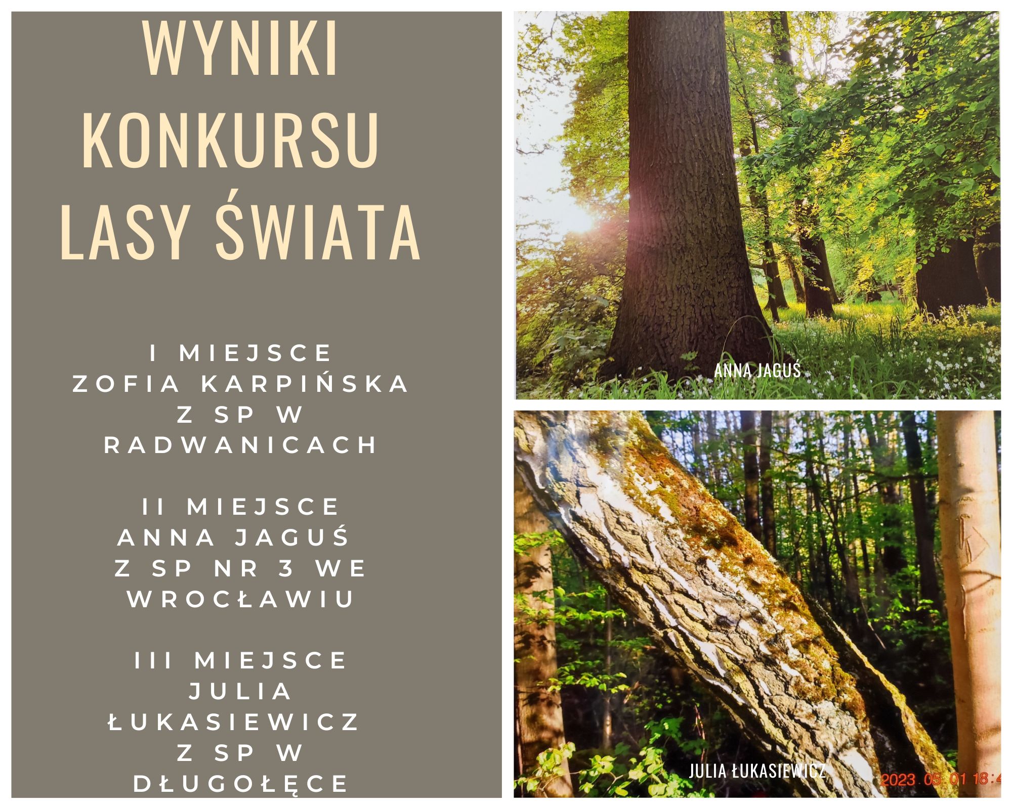 Wyniki konkursu Lasy Świata