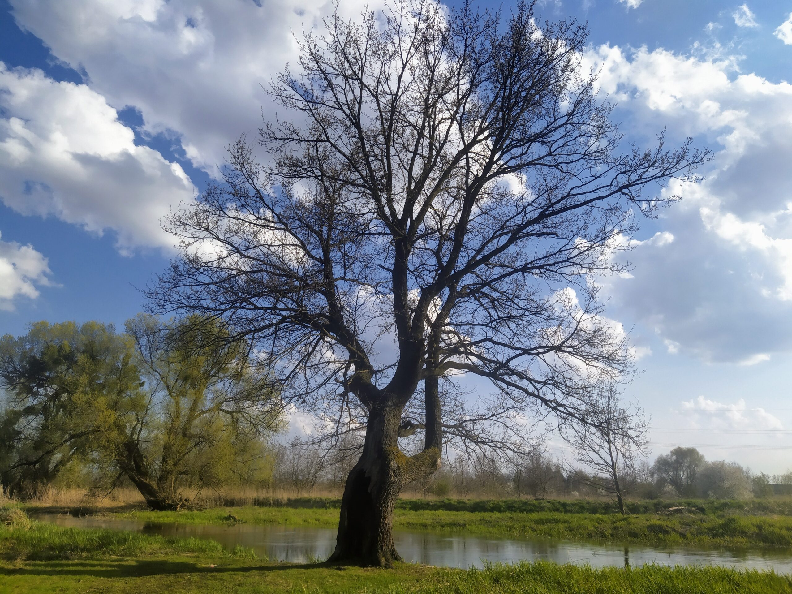 Wyniki III edycji konkursu „LASY ŚWIATA”