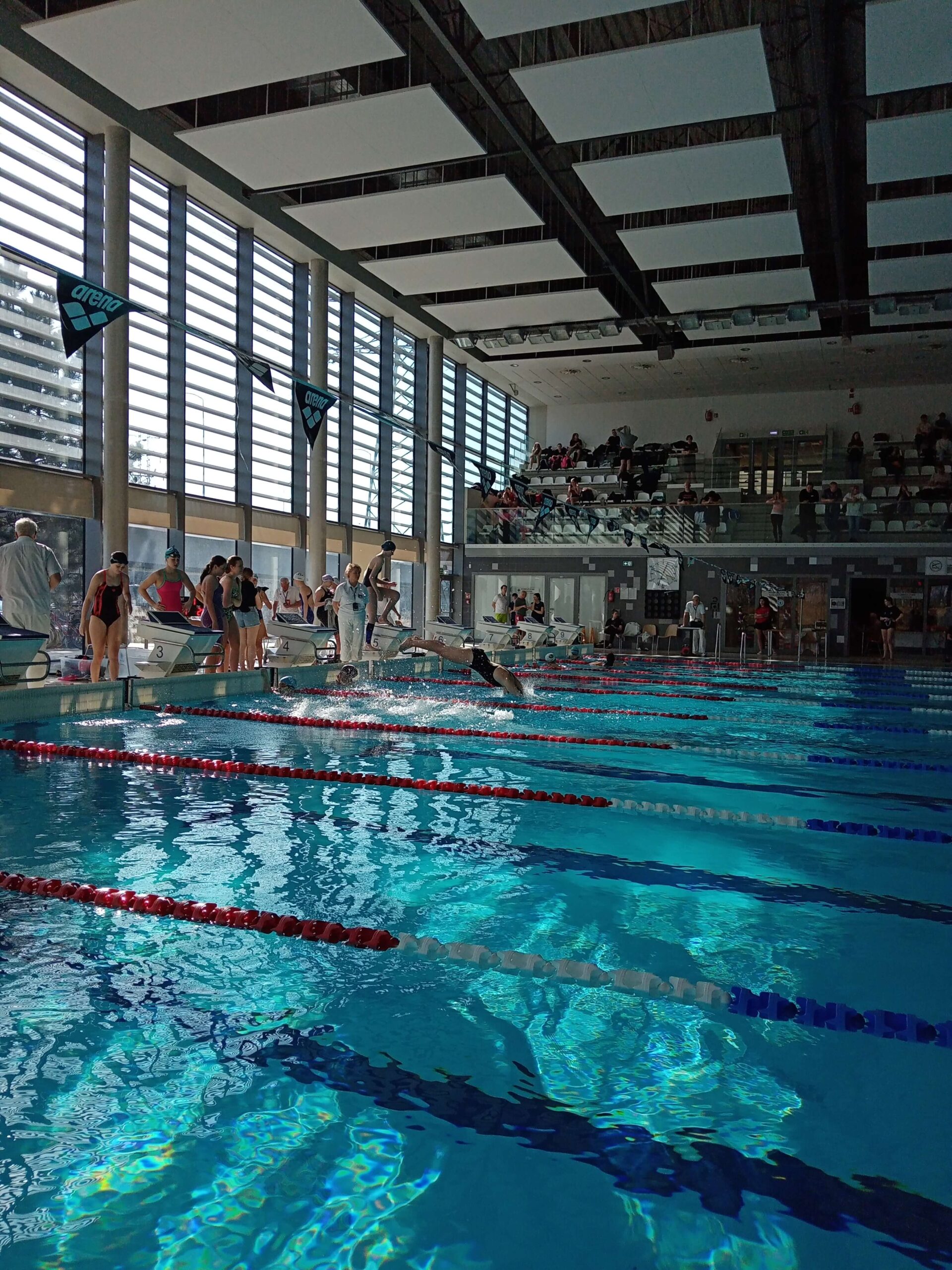 Mistrzostwa Strefy Wrocławskiej w Pływaniu