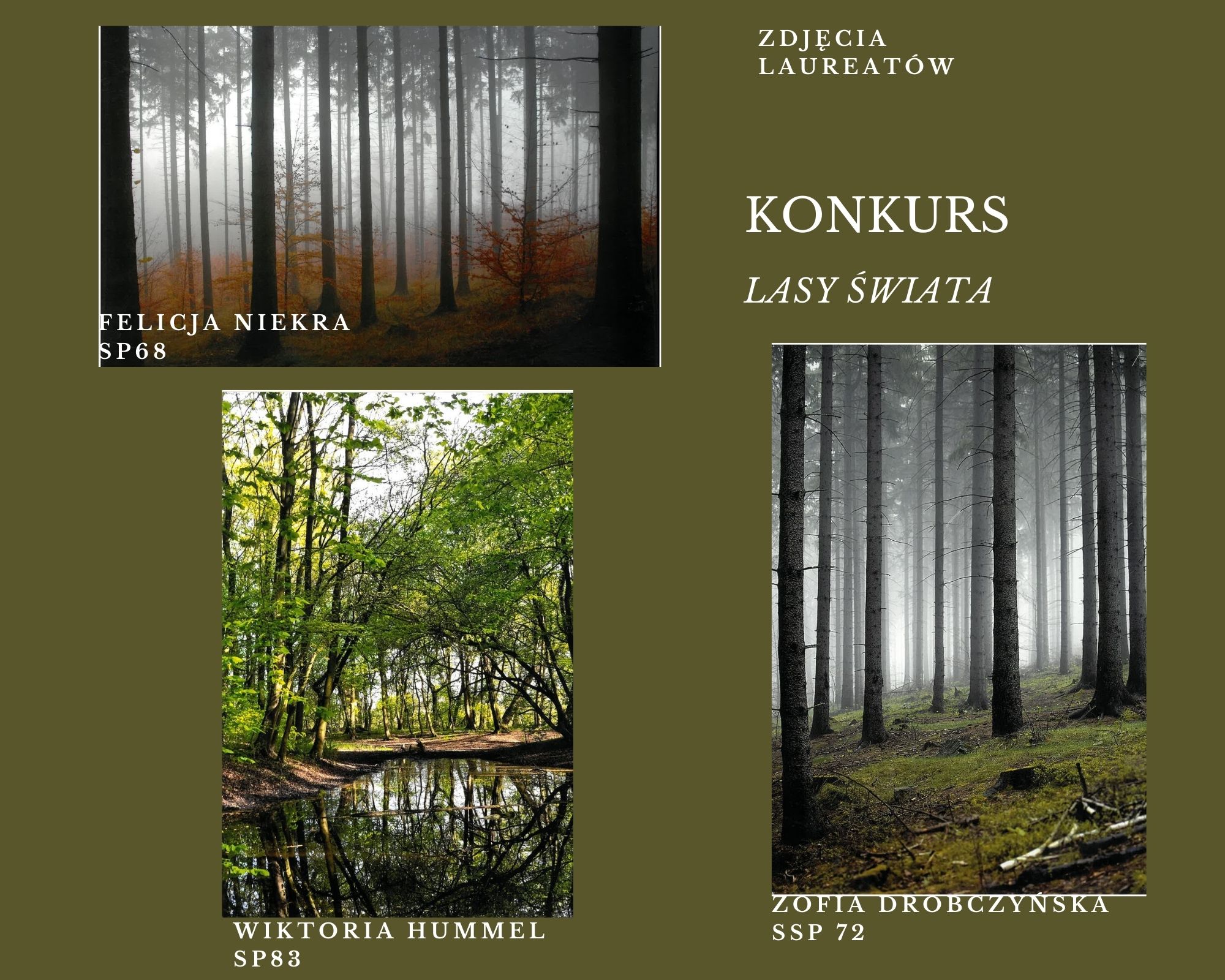 Wyniki IV edycji konkursu „LASY ŚWIATA”