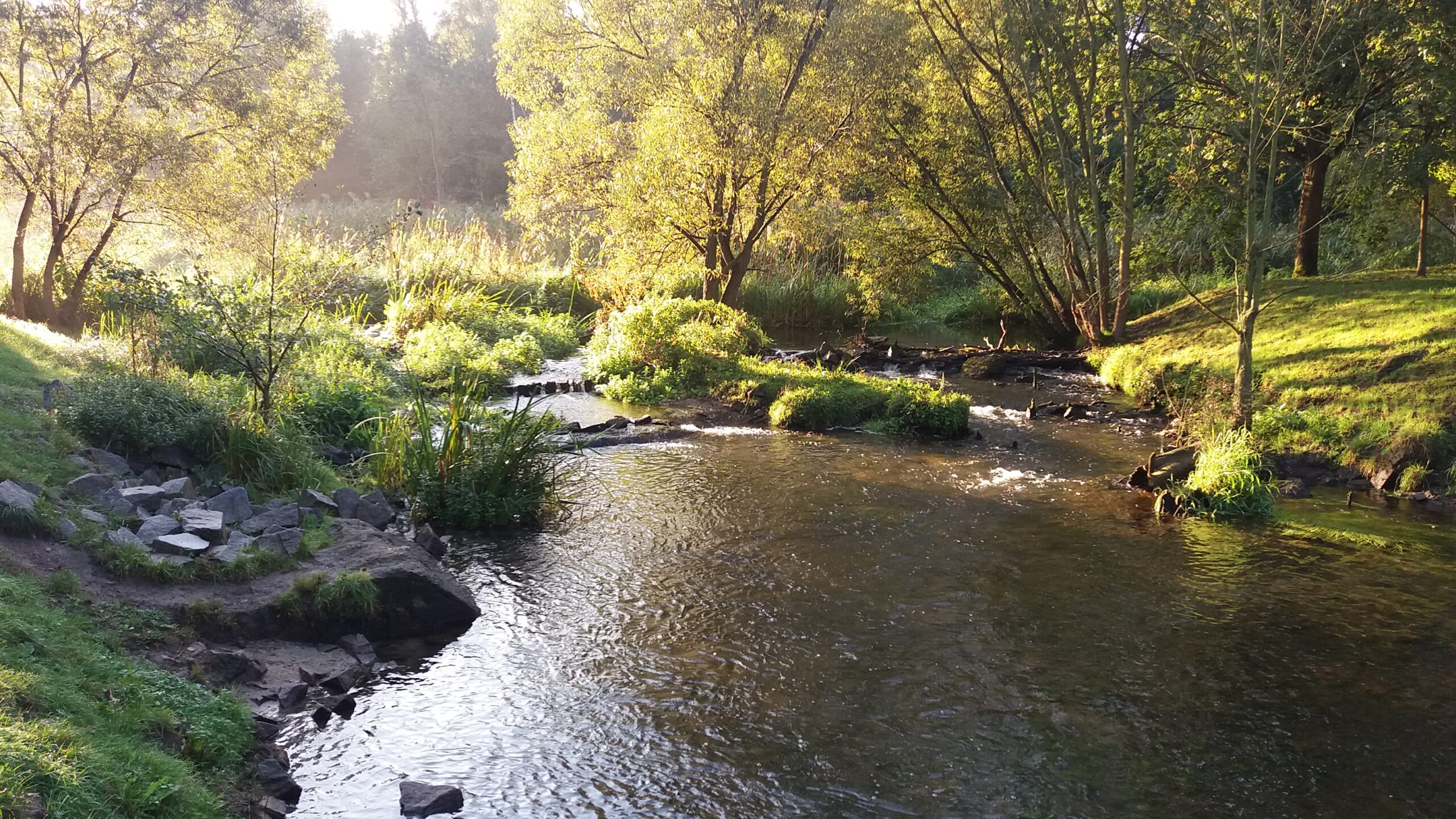 Konkurs „Dzieli nas pół wieku” Przedłużamy termin nadsyłania prac do 1 lutego 2021